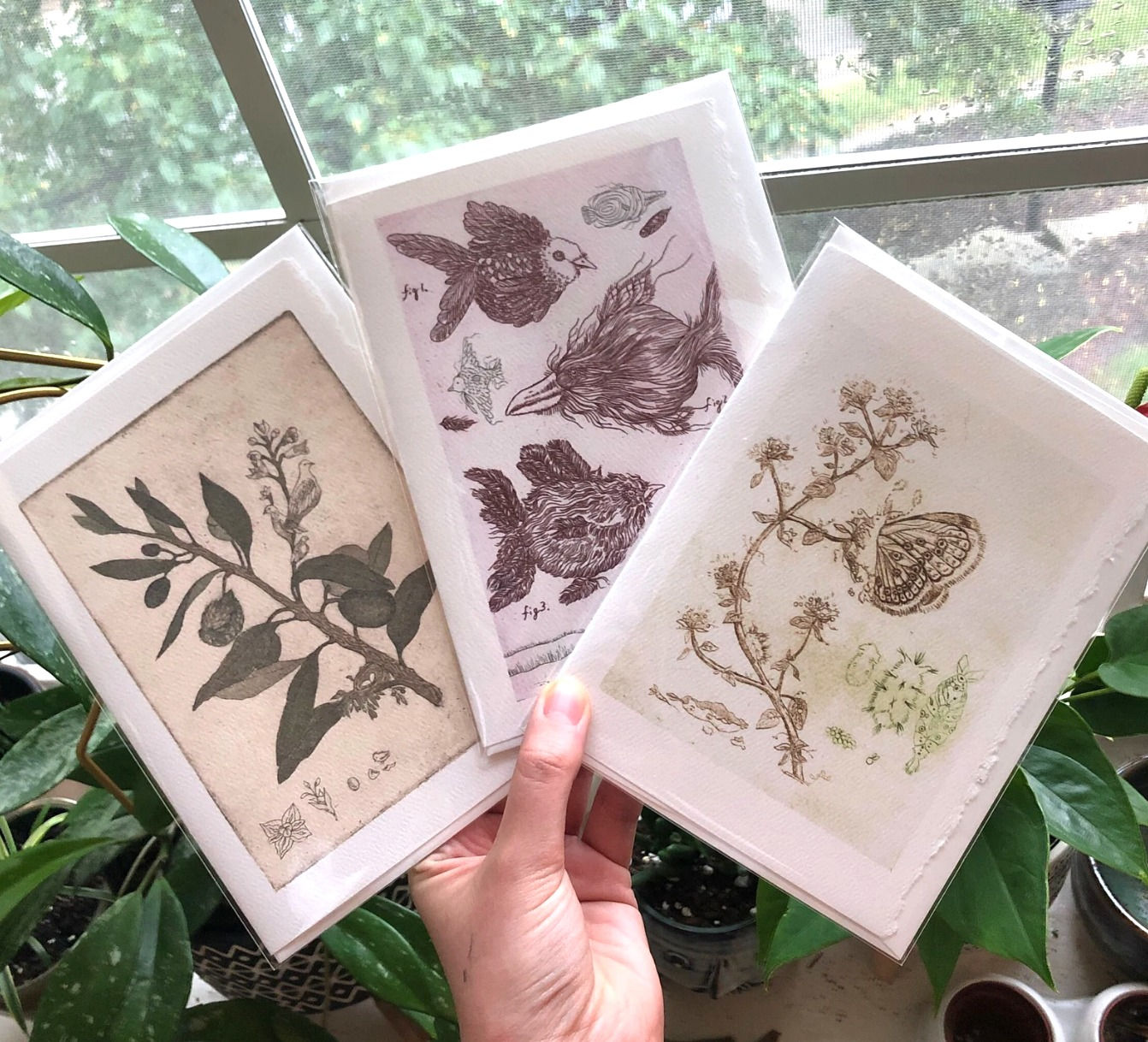 Set of 3 - Surreal Scientific Illustration Intaglio Cards