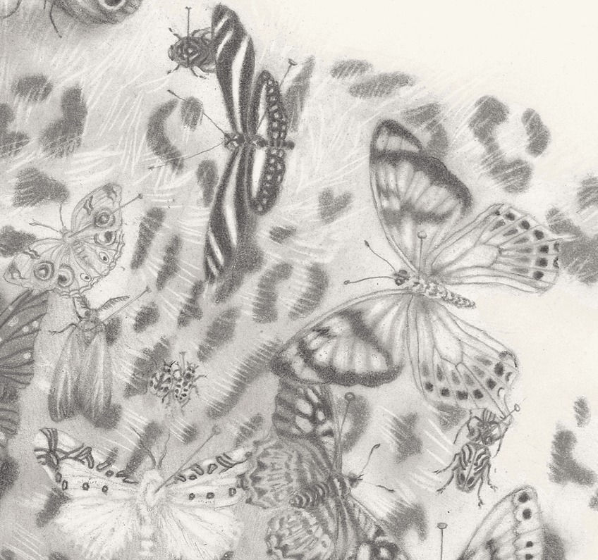 Thumbnail: Maculae Limited Giclée
