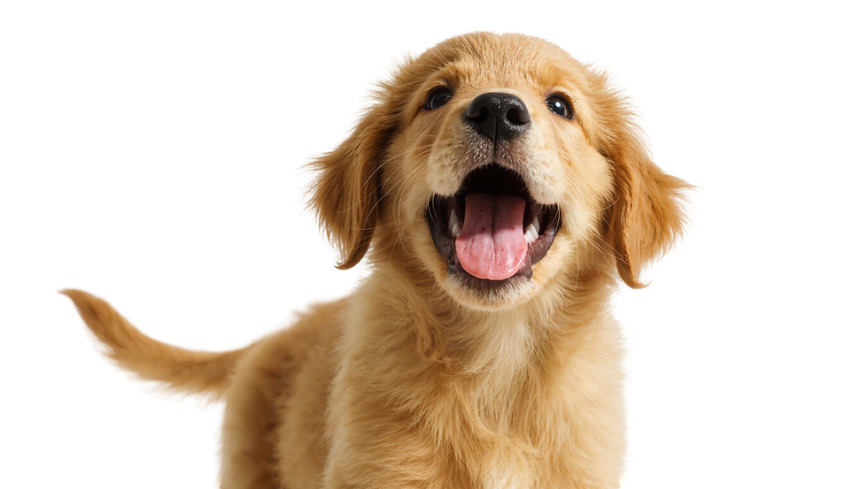 AdobeStock_1945578218.png