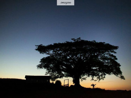 Pré casamento no campo