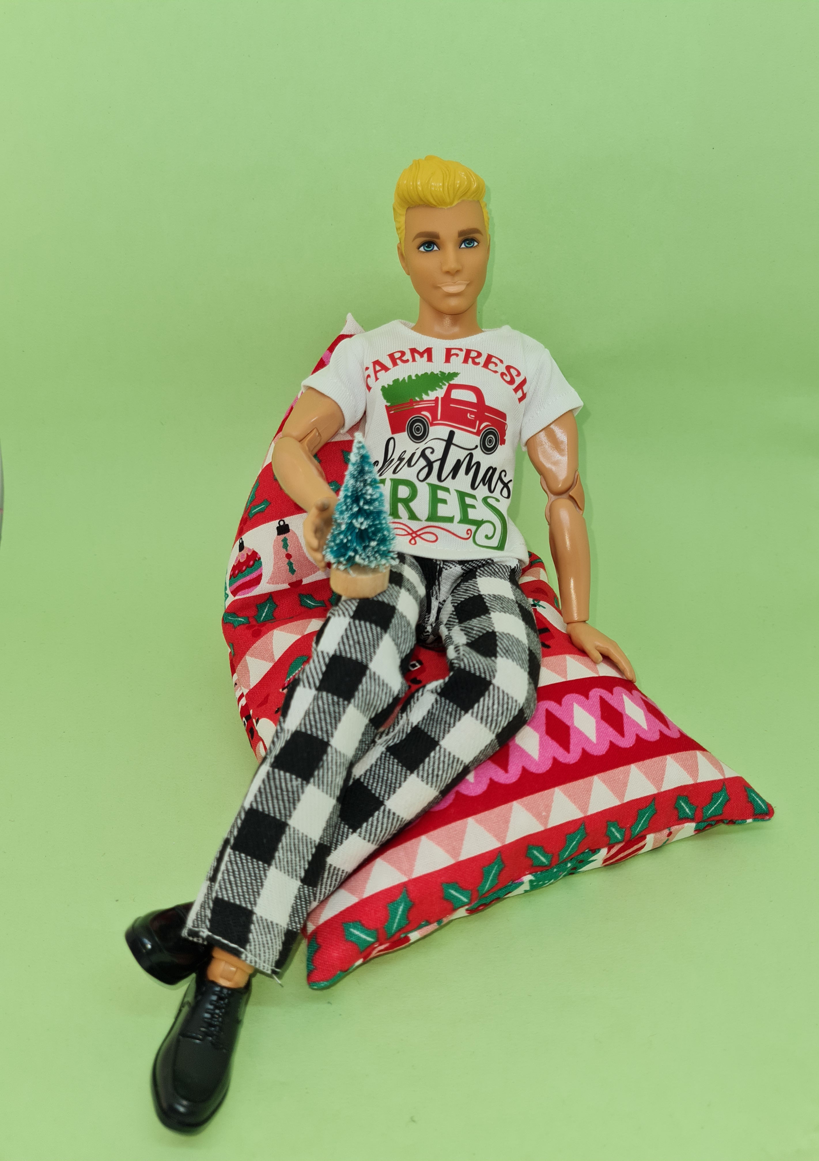 Ken Clothes - Farm Fresh Trees T-shirt, Check Pants and Accessories