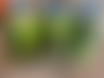 Easy Farmers Market Pickles