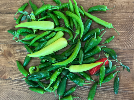 Pickled Peppers