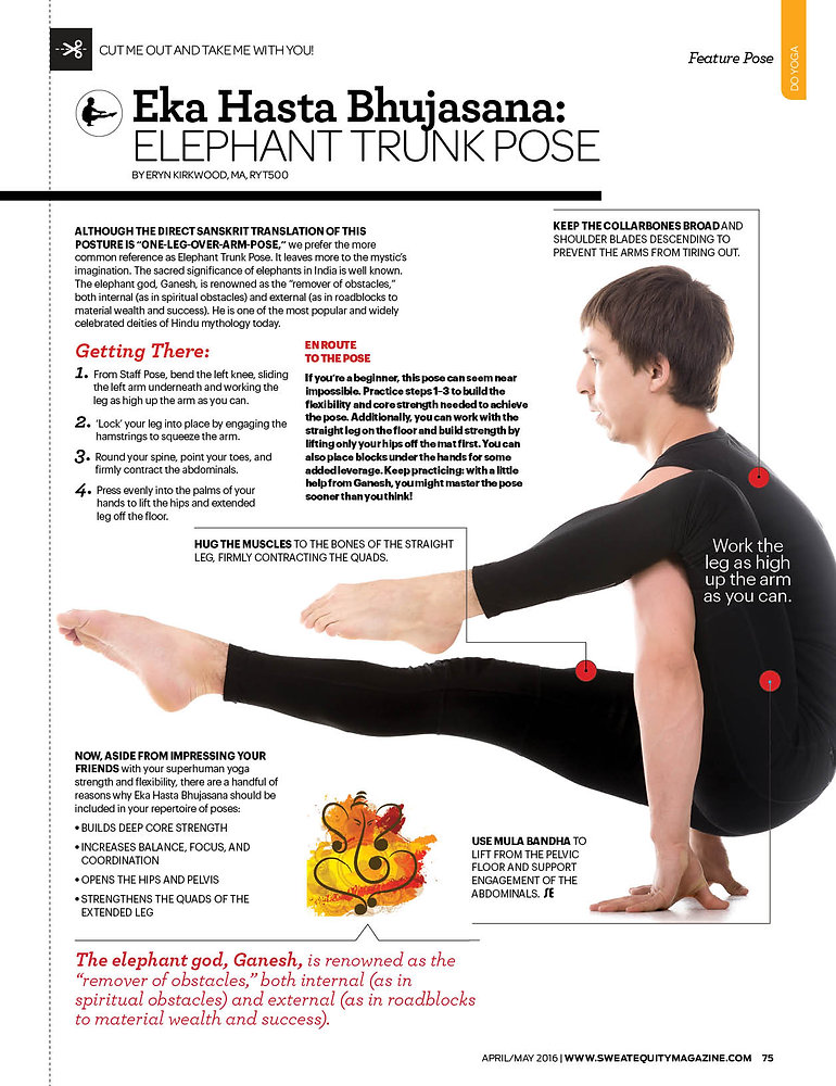 Feature Pose Elephant Trunk (Eka Hasta Bhujasana)https//static