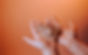LGG Spring _22-5altcrop.jpg
