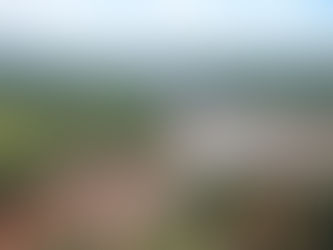 Ibama multa Vale em R$ 250 milhões por catástrofe em Brumadinho (MG)