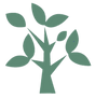 Tree Only.png
