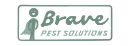 Brave Logo _edited.png