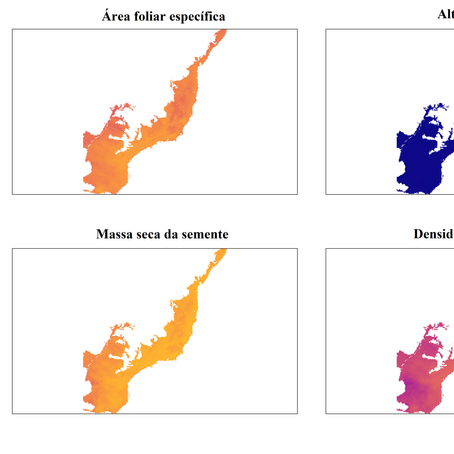 Why do we know so little, but should know more, about the Atlantic Forest trees?