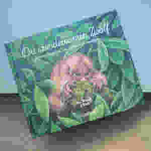 MINT & MALVE Buchtipp: Die wundersamen Zwölf, Rae Mariz und Moki, Reisedepeschen Verlag, 2019