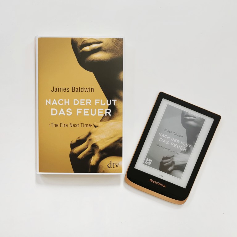 MINT & MALVE Buchtipp: Nach der Flut das Feuer - James Baldwin (dtv, 2019)