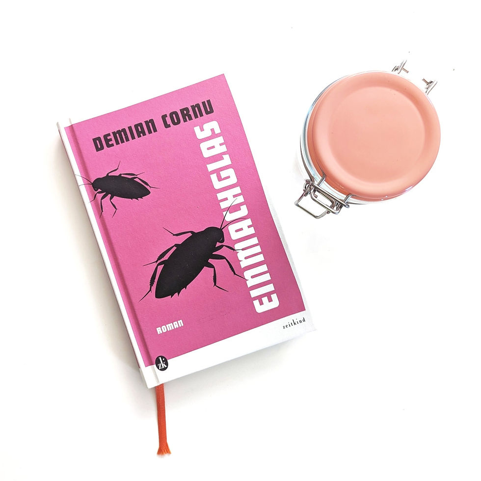 Einmachglas - Demian Cornu (zeitkind Verlag 2026). Foto: Eliane Fischer.