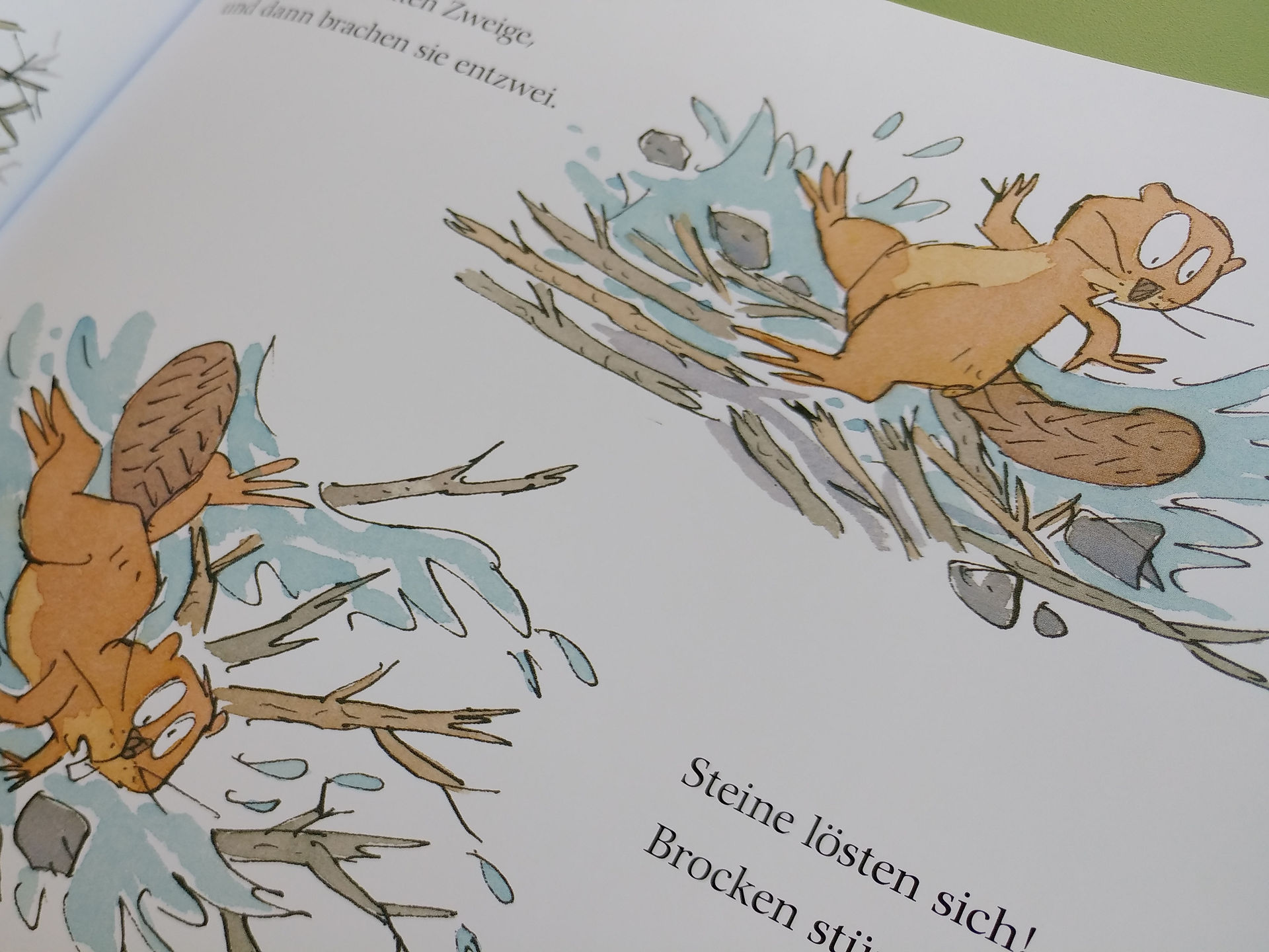 Frosch und Biber