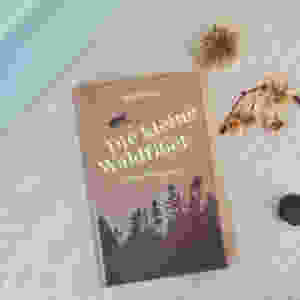 MINT & MALVE Buchtipp: Die kleine Waldfibel - Linda Wolfsgruber (kunstanstifter, 2020)