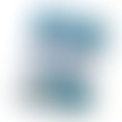 Pinguine & Eisbären - Eine coole Expedition zum Nordpol und Südpol