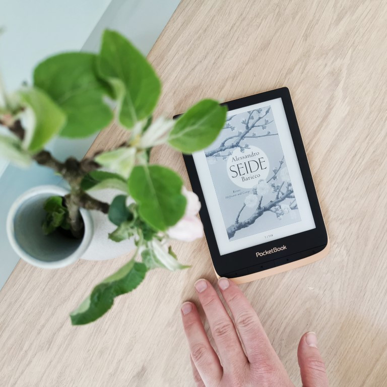 MINT & MALVE Buchtipp: Seide, Alessandro Baricco, Hoffmann und Campe (2016)