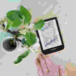 MINT & MALVE Buchtipp: Seide, Alessandro Baricco, Hoffmann und Campe (2016)