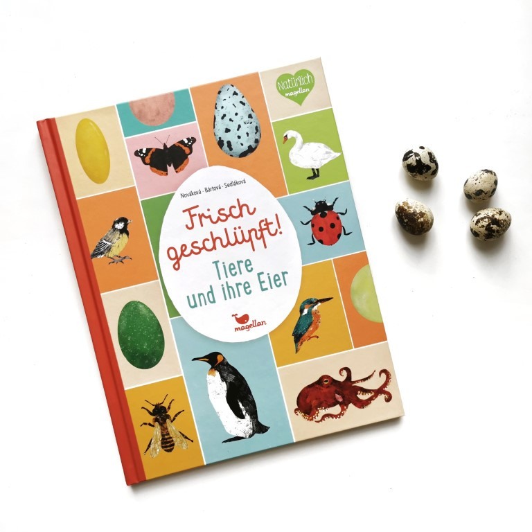 Frisch geschlüpft! - Tiere und ihre Eier - Eva Bártová, Markéta Nováková, Blanka Sedláková, Matej Ilčík ( Magellan 2021)