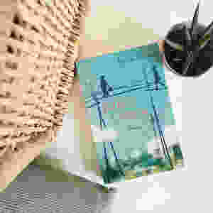 MINT & MALVE Buchtipp: Sungs Laden, Karin Kalisa, Droemer (2017)