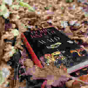 MINT & MALVE Buchtipp: Wald, Doris Knecht, Rowohlt Verlag, 2015