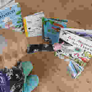 Kinderbücher, Natur, Tiere, Bienen, Ameisen, Eichhörnchen, Dominoeffekt, Museum