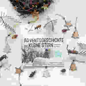 Buchtipp MINT & MALVE: Adventsgeschichte. Der kleine Stern. Abenteuer im Wald, Karin Fröhlich und Eveline Moser, 2017.