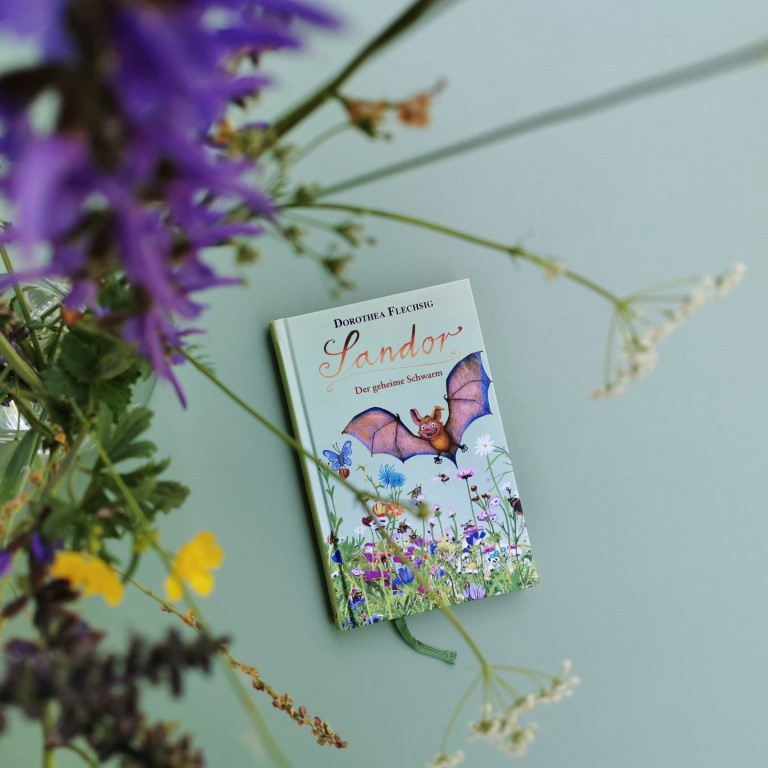 MINT & MALVE Buchtipp: Sandor - der geheime Scharm, Dorothea Flechsig, Glückschuh Verlag, 2019