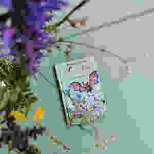 MINT & MALVE Buchtipp: Sandor - der geheime Scharm, Dorothea Flechsig, Glückschuh Verlag, 2019
