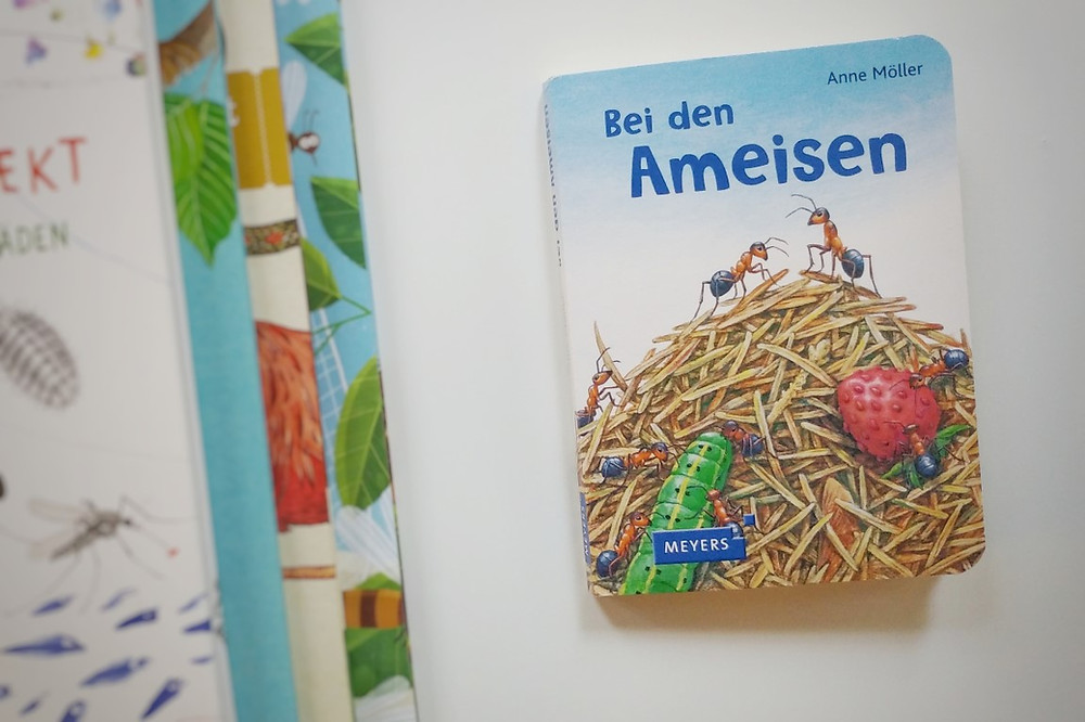 Bei den Ameisen, Anne Möllers, Meyer's