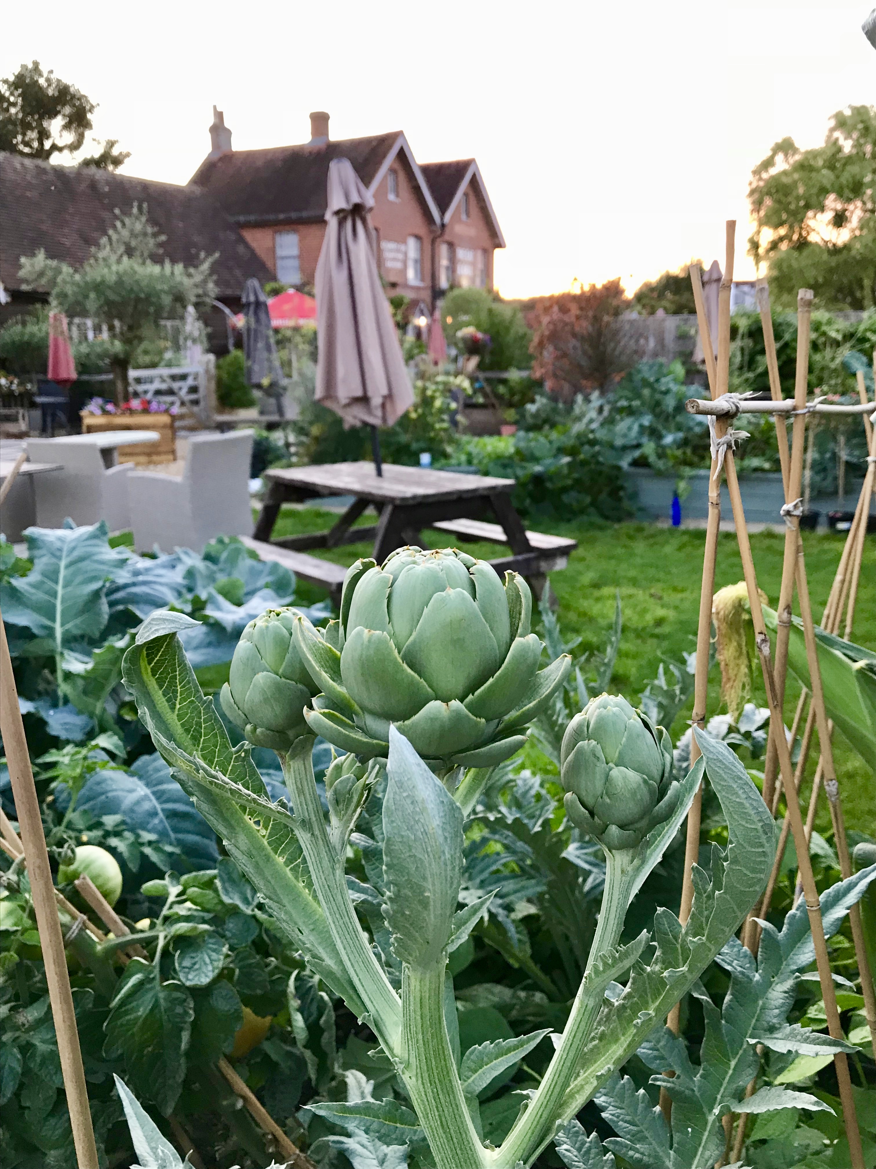 Gallery The Bat & Ball Country Pub and Haywards Restaurant