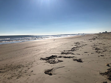 Galveston beach.jpeg