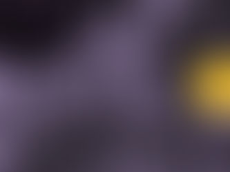 Nietas de la memoria