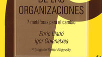 La estupidez de las organizaciones