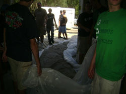 38878_424426380969_4859861_n