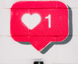 Current Forward consumer insights, brand strategy