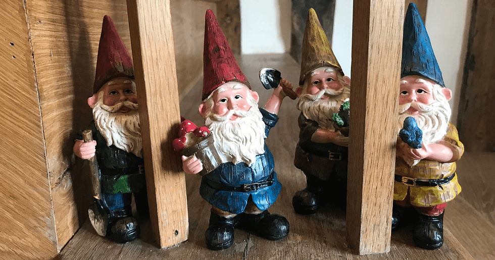 Gnome Trail
