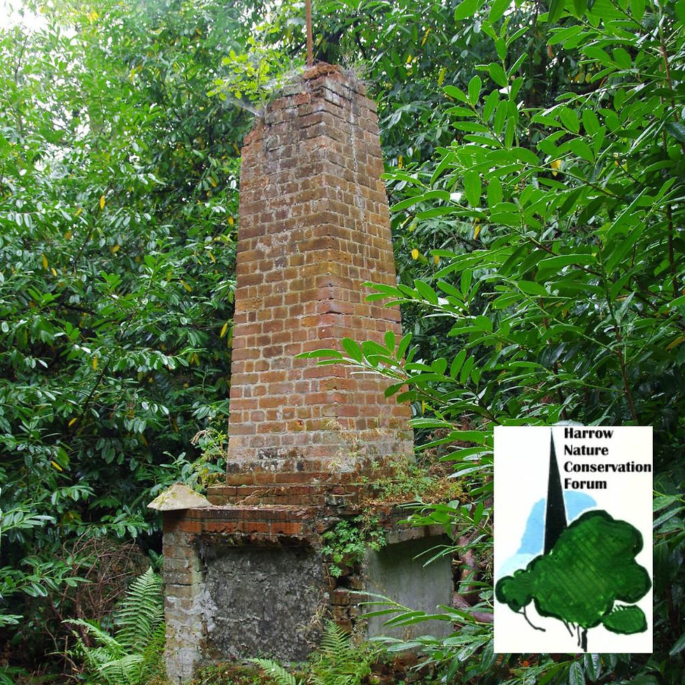 Guided walk at Bentley Priory Nature Reserve