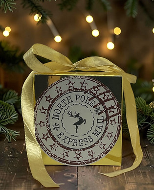 north pole express sleigh bell boxed.jpeg