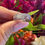 Thumbnail: silver custom birth flower ring