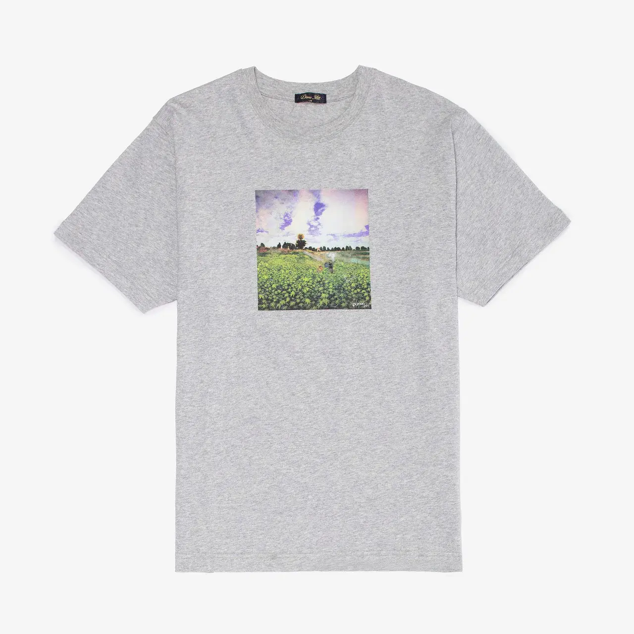 CAMISETA DIME "FIELD TRIP TEE" HEATHER GRAY