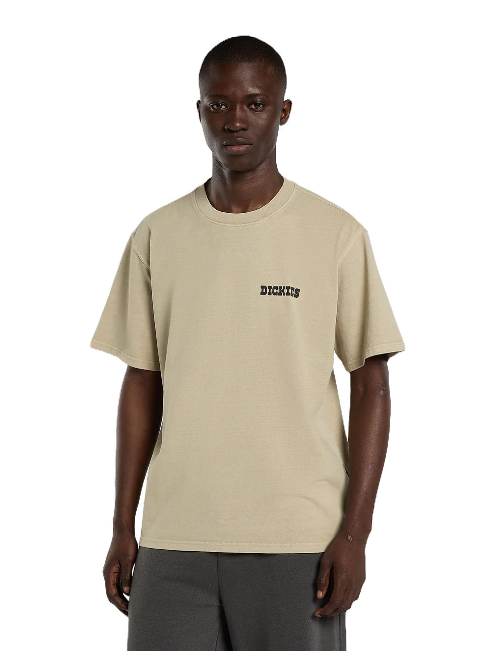 Miniatura: CAMISETA DICKIES "DARRTOWN SS TEE"