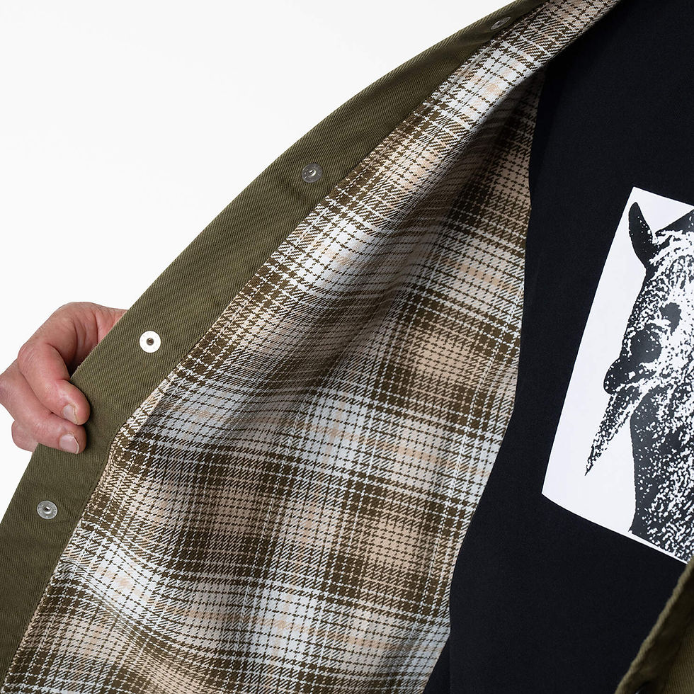 Miniatura: CHAQUETA DICKIES "ANDERSON LINED JACKET " DARK OLIVE