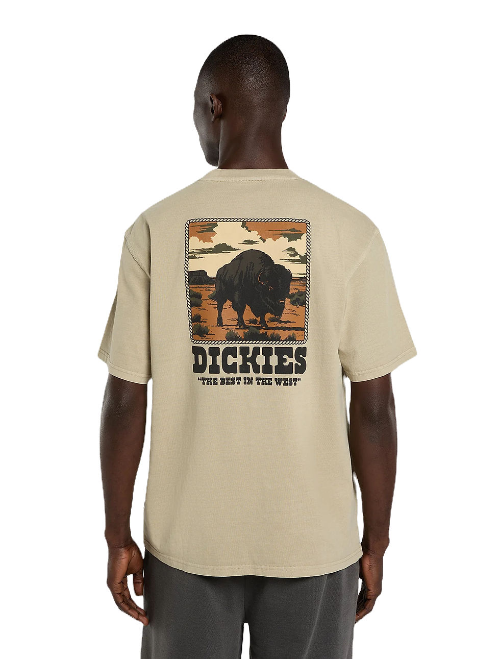 Miniatura: CAMISETA DICKIES "DARRTOWN SS TEE"