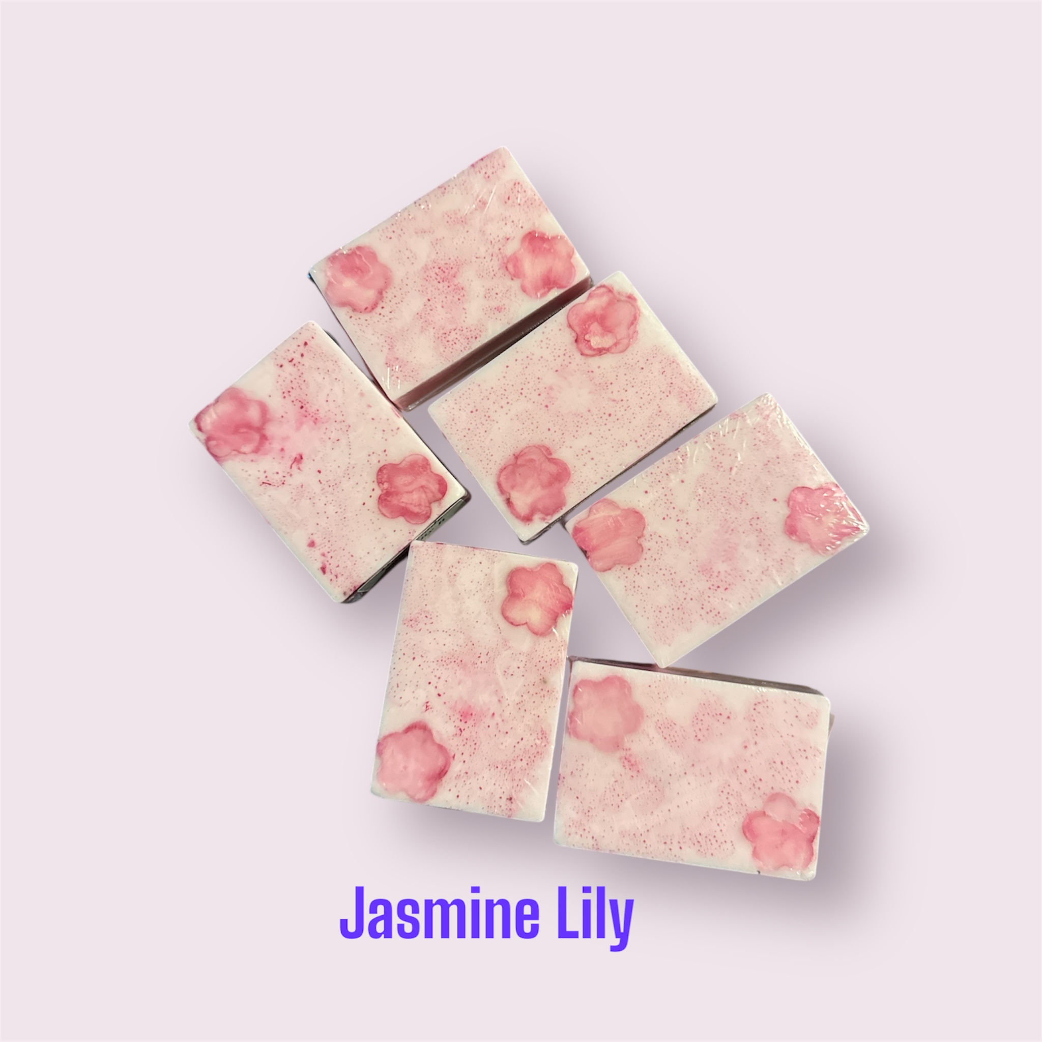 Jasmine Lily