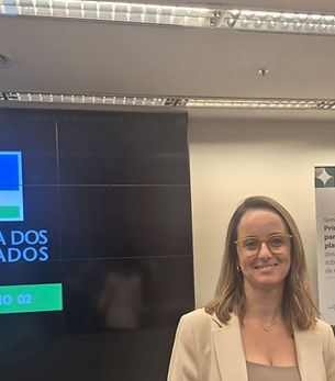 REGULAÇÃO DE PLATAFORMAS DIGITAIS É TEMA DE SEMINÁRIO NA CÂMARA DOS DEPUTADOS COM PARTICIPAÇÃO DO LABSUL