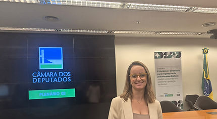 REGULAÇÃO DE PLATAFORMAS DIGITAIS É TEMA DE SEMINÁRIO NA CÂMARA DOS DEPUTADOS COM PARTICIPAÇÃO DO LABSUL