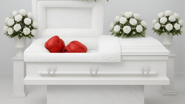 "The Miseducation of MMA Volume 3" by David Potter