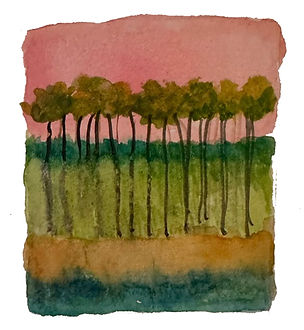 trees.jpg