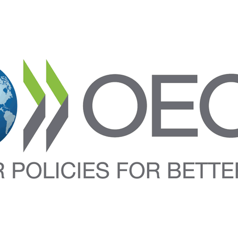 An overview on society: the 2019 OECD report