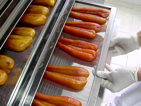 Safra de Tainha de 2023 – Definição de Cotas  